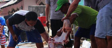 Jakarta, Endonezya - 08 11 2019: Kurban edilen hayvanların etini kesmek için insanlar birlikte çalışıyorlar.