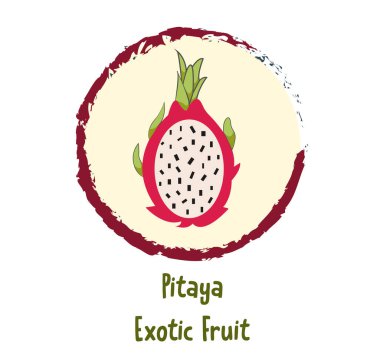 Exotic fruit pitaya on white background