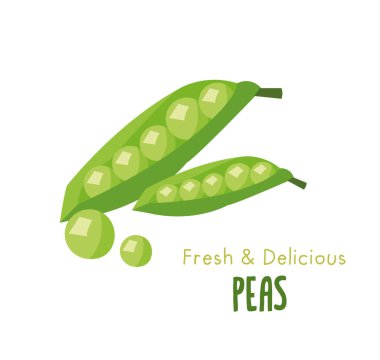 Yeşil bezelye kabukları ve tohumlar doğal sebzeler, izole edilmiş sağlıklı yiyecekler. Karikatür fasulyesi sebzeleri, organik çiğ bitki, tasarım elementi, beyaz arka planda imza.