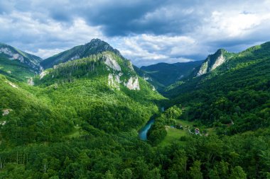 Karadağ 'daki dağların yamaçlarındaki Mountain River Tara Turkuaz ve Ormanı. Durmitor Ulusal Parkı 'ndaki Avrupa' nın en büyük kanyonu.