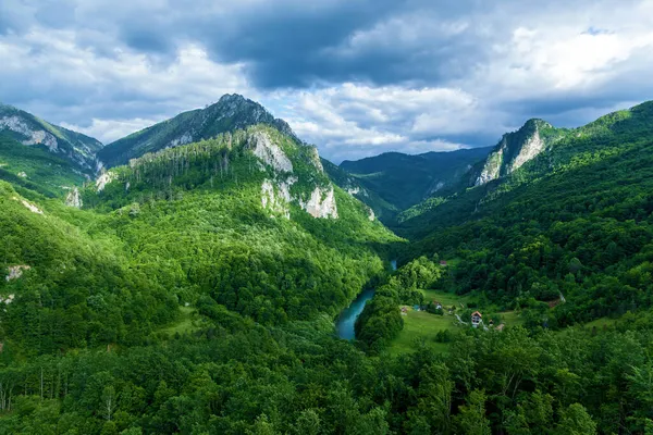 Karadağ 'daki dağların yamaçlarındaki Mountain River Tara Turkuaz ve Ormanı. Durmitor Ulusal Parkı 'ndaki Avrupa' nın en büyük kanyonu.