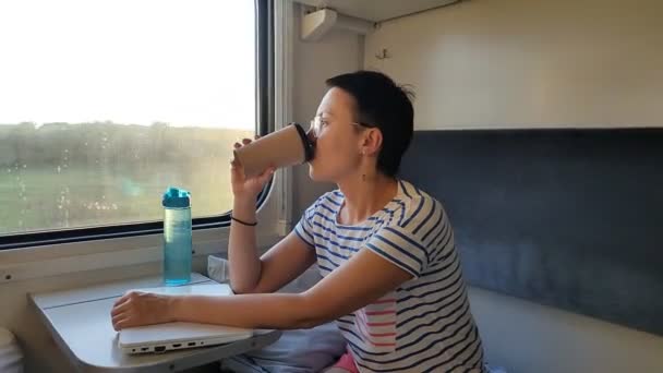 Ένα Νεαρό Κορίτσι Ανοίγει Την Πόρτα Του Τρένου — Αρχείο Βίντεο