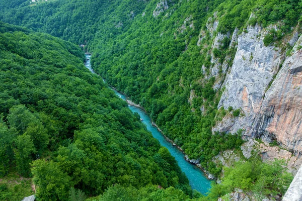 Mountain River Tara Turquesa Floresta Nas Encostas Das Montanhas Montenegro — Fotografia de Stock