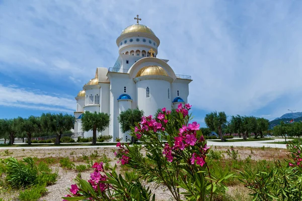 Belles Fleurs Roses Plantes Oléandres Sur Fond Une Belle Église — Photo