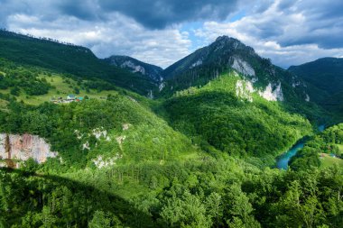 Karadağ 'daki dağların yamaçlarındaki Mountain River Tara Turkuaz ve Ormanı. Durmitor Ulusal Parkı 'ndaki Avrupa' nın en büyük kanyonu.