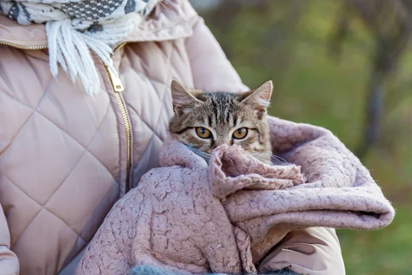 Girl Street Holds Cat Wrapped Pink Plaid — Stock fotografie