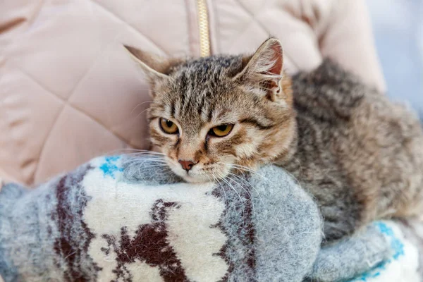 Girl Street Holds Cat Wrapped Pink Plaid — Stock fotografie