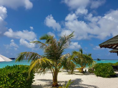 Bora Bora Adası, Maldivler, Tahiti 'deki beyaz kumlu plajda, mavi göldeki su altı bungalovları ve lüks villalar..