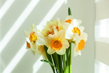 Bir buket nergis çiçeği vazosunun içinde bahar güneşinin ışınlarında pencere eşiğinde.