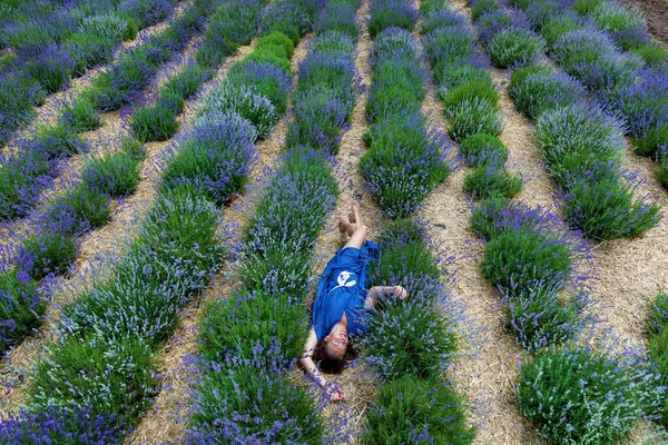 Девушки Синем Платье Фотографируются Фиолетовых Цветах Лаванды Поле — стоковое фото