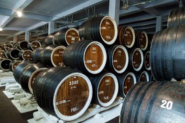 Rows of wooden oak barrels with wine and cognac in the cellar of a winery. An old wine cellar with many oak barrels