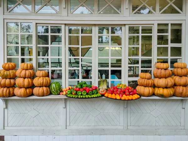 Composição Outono Abóboras Laranja Legumes Janela — Fotografia de Stock