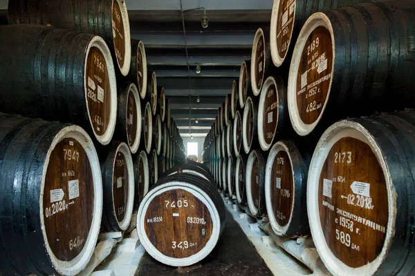 Rows of wooden oak barrels with wine and cognac in the cellar of a winery. An old wine cellar with many oak barrels