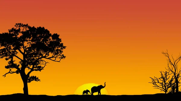 Wüstenlandschaft Mit Einem Wunderschönen Sonnenuntergang Und Der Silhouette Eines Elefantenbabys — Stockfoto