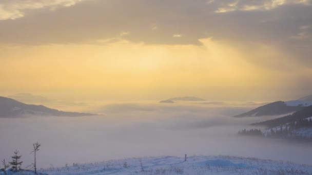Πρωινή ανατολή ομίχλη βουνά μαγεία όμορφη εναέρια ουρανό Βίντεο Κλιπ