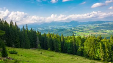 Mavi gökyüzünde beyaz bulutlu yeşil güneşli doğanın panorama görüntüsü zaman kayması