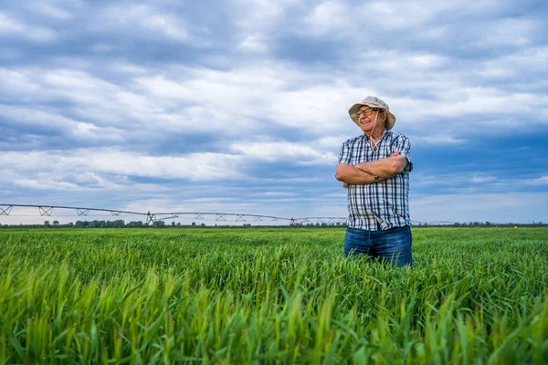 Orgoglioso Agricoltore Anziano Piedi Nel Suo Campo Orzo Godersi Tramonto — Foto Stock