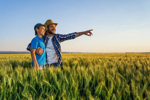 Father and son are standing in their growing wheat field. Father is teaching his successor about cultivating land.