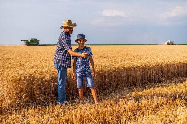 Farmers are standing in their wheat field while the harvesting is taking place. Father is teaching his son about agriculture.