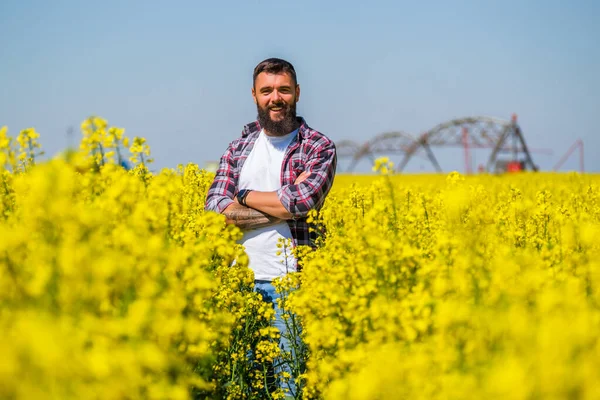 Portret Van Een Gelukkige Succesvolle Boer Die Zijn Raapzaadveld Staat — Stockfoto