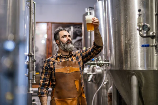 Sakallı Bira Fabrikası Müdürü Elinde Bir Bardak Bira Tutuyor Onun — Stok fotoğraf