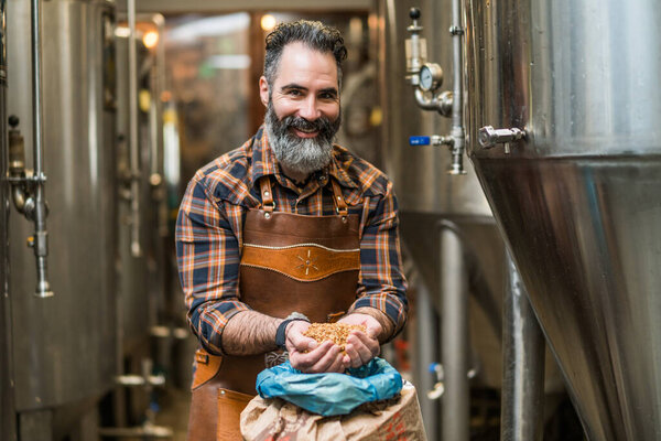 Master brewer examining the barley seeds before they enter production. Brewery technician with bag of barley in front.