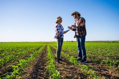 Erkek ve kadın ortaklaşa çalışıyorlar. Mısır yetiştiriyorlar..