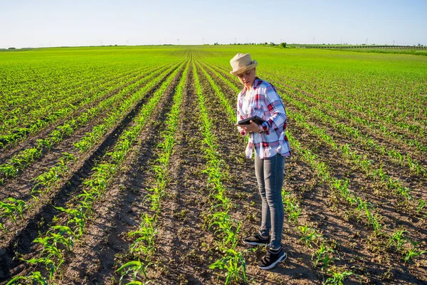 Dospělá Žena Pěstuje Kukuřici Své Půdě Zkoumá Pokrok Pěstování Plodin — Stock fotografie