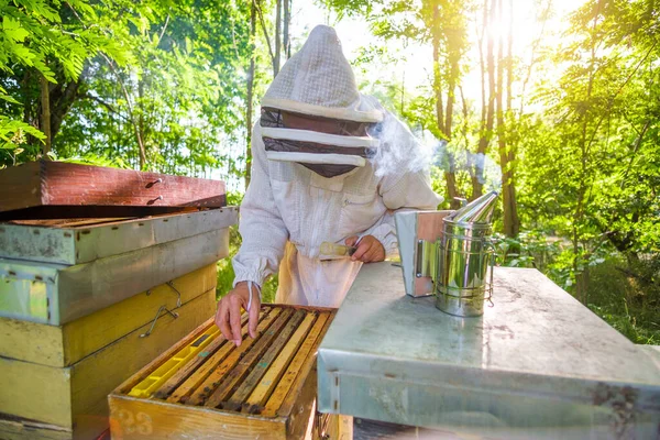 Imker Begutachtet Seine Bienenstöcke Wald Berufsimkerberuf — Stockfoto