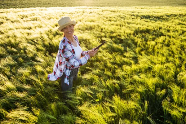 Kvinnlig Agronomer Undersöker Utvecklingen Korngrödor — Stockfoto