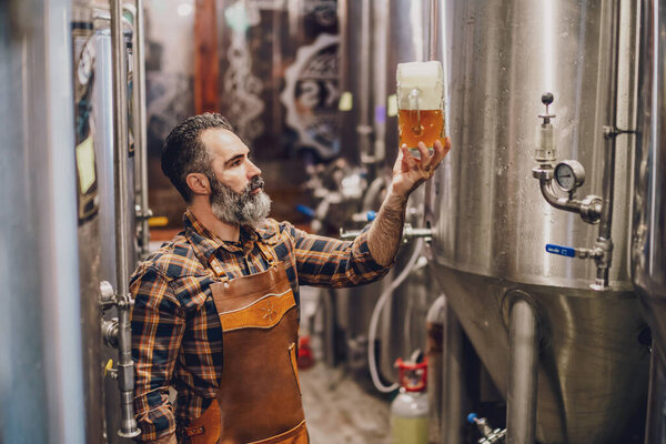Bearded brewery master holding glass of beer and evaluating its visual characteristics. Small family business, production of craft beer.