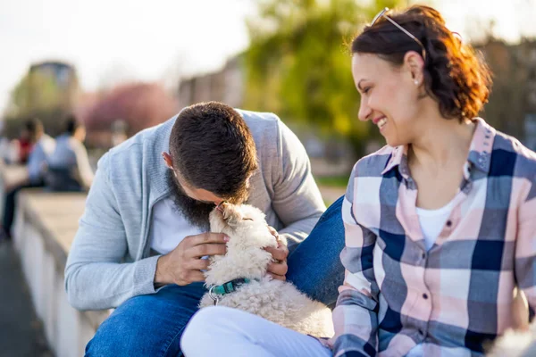 Adult Couple Enjoying Sunny Day Dog — Foto de Stock
