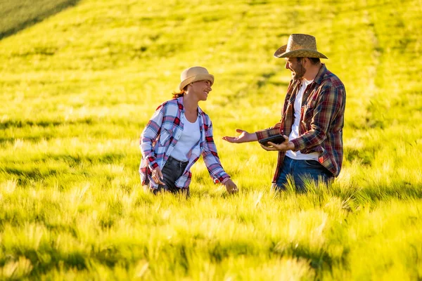 Man Woman Working Together Cultivating Wheat — 图库照片