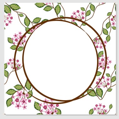 Hoya carnosa 'lı çiçek kartı. Mesajın için yer aç. Tebrik kartı için kare şablon