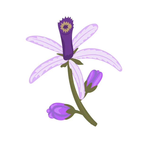 Chinaberry Bloemen Doodle Illustratie — Stockvector