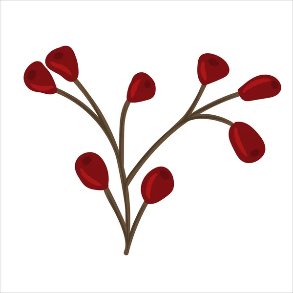 산딸기가 나뭇가지 — 스톡 벡터