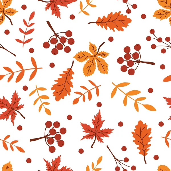 Płynny Wzór Kolorowymi Jesiennymi Liśćmi Jagodami Białym Tle — Wektor stockowy