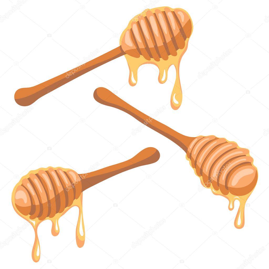 Honey dripping from a wooden honey dipper isolated on white background. Set of Different View