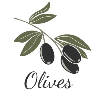 Yapraklı siyah zeytin.