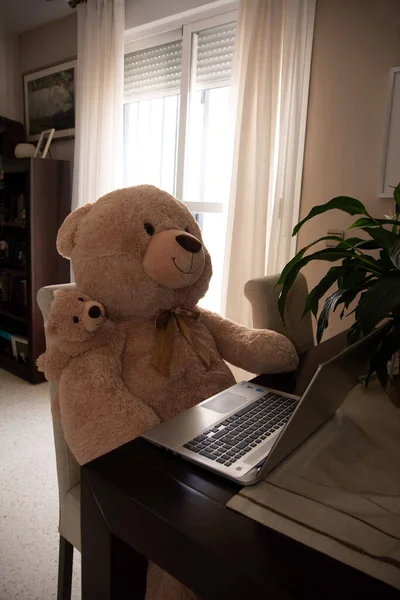 Teddy bear teleworking from home with a laptop and taking care of his baby bear.