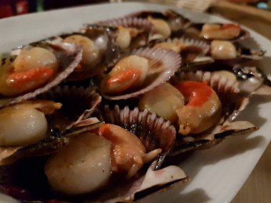 Taze doğal deniz taraklarının yakın çekimi beyaz bir tepside, deniz ürünleri ile açılır.