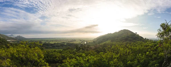 Valle del Cauca Kolombiya 'da şeker kamışı ekinleri panoramiği.