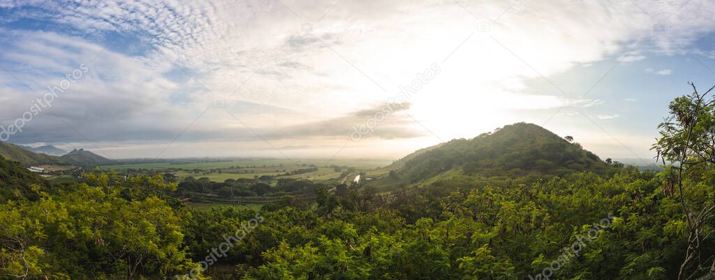 Panoramic of sugarcane crops in the Valle del Cauca Colombia.