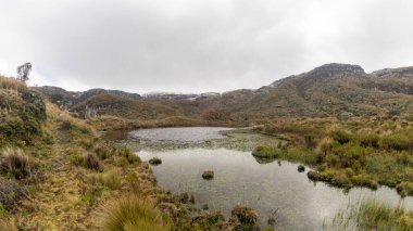 Manizales Caldas Kolombiya 'daki Los Nevados Ulusal Doğal Parkı' ndaki fundalıklar, dağlar, kar ve göller..