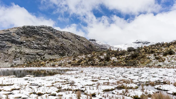 Maurowie Góry Śnieg Jeziora Parku Narodowym Los Nevados Manizales Caldas — Zdjęcie stockowe