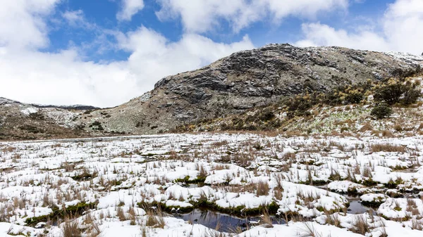 Moros Montañas Nieve Lagos Parque Nacional Natural Los Nevados Manizales — Foto de Stock