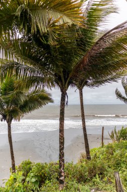 Kolombiya Pasifik Okyanusu 'ndaki plajlar ve uçurumlar. Kolombiya Valle del Cauca 'da turizm ve rahatlama.