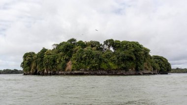 Kolombiya Pasifik 'teki kayalıklar, adalar ve plajlar. Tuğlalar, Juanchaco ve Buenaventura Valle del Cauca, Kolombiya.