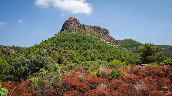 Mountains, rocks and landscapes of the Sierra Calderona natural national park in the community of Valencia Spain.
