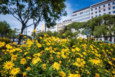 Görünüm şehir Lizbon, Portekiz
